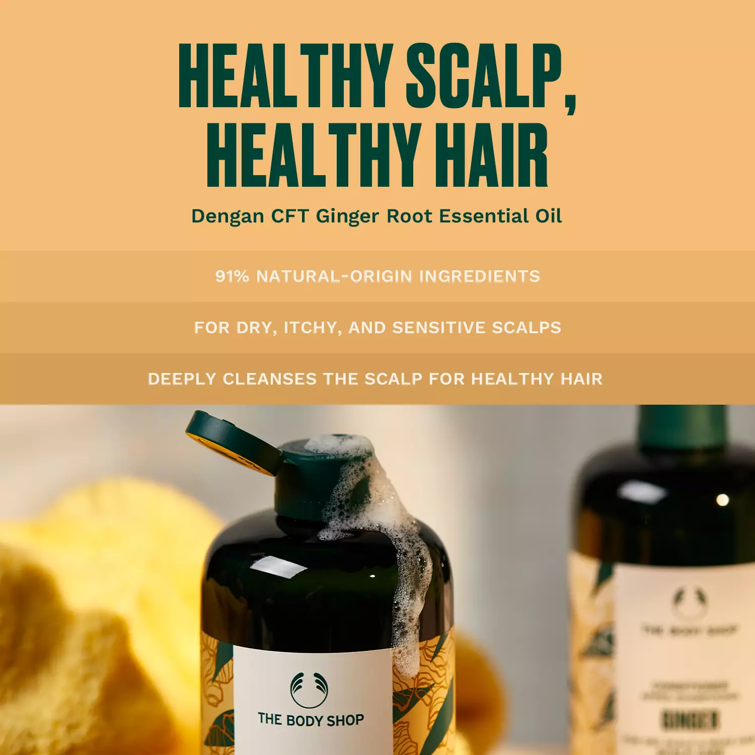 Ginger Anti Dandruff Shampoo 400ml