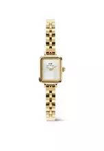 Gold/White