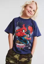 Licensed Marvel Deep Dive/Spiderman Vintage