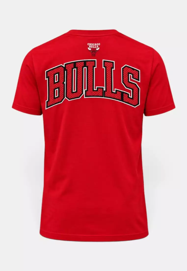 Buy NBA Chicago Bulls Crew Neck T-Shirt for Men Ballermatic Collection ...