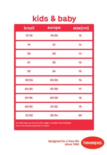 size guide havaianas