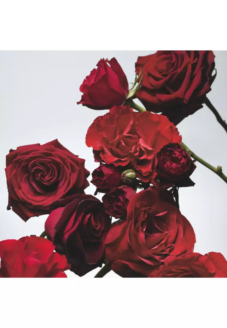 JO MALONE JO MALONE Red Roses Scent Surround™ Diffuser 165ml