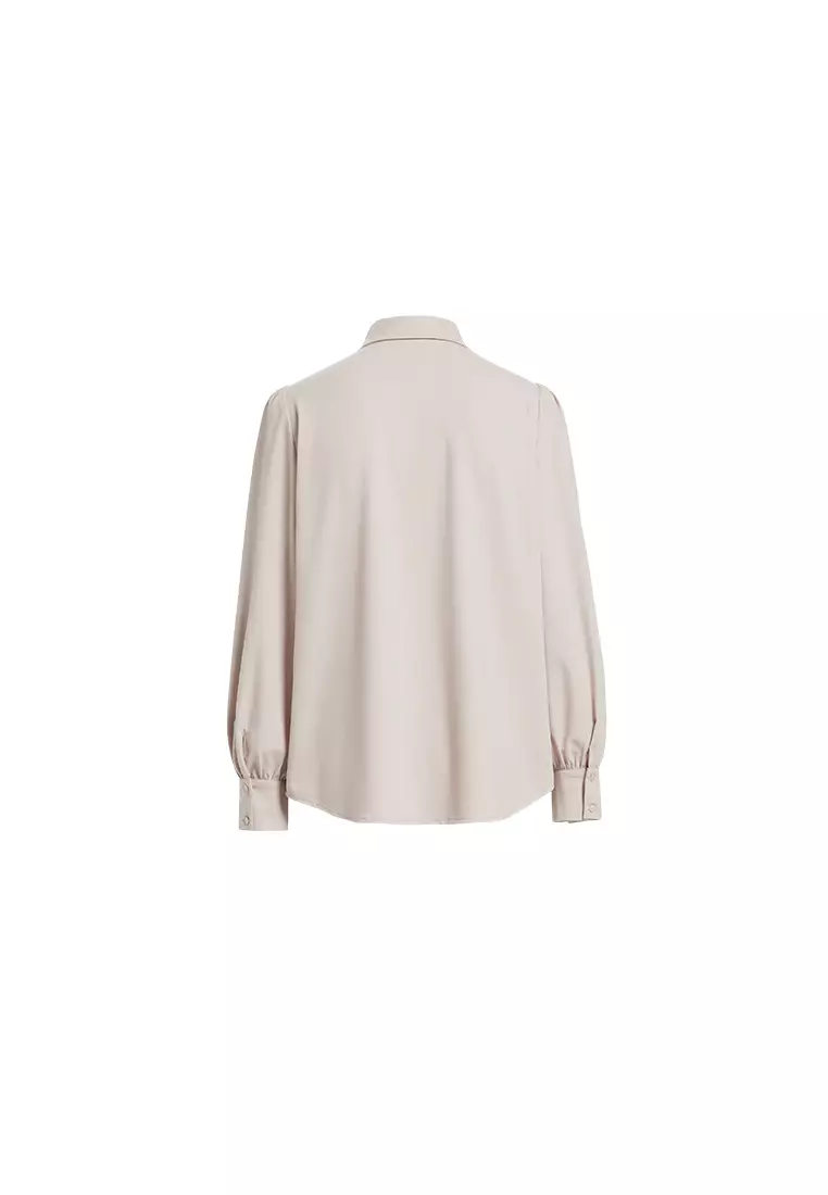Simple Long Sleeve Formal Blouse
