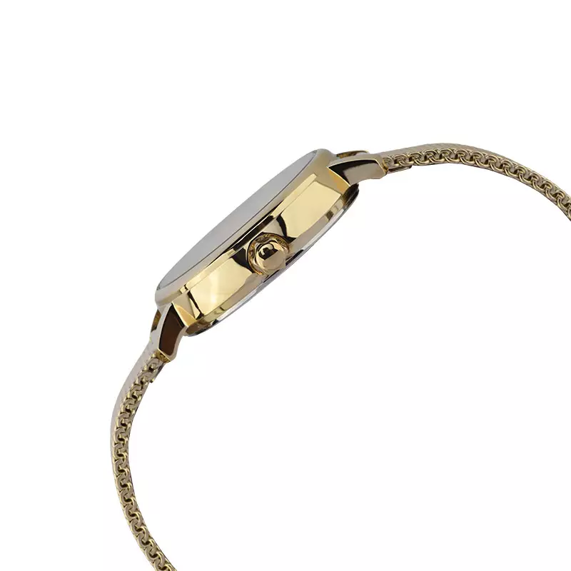 Jam Tangan Wanita Casio General LTP-2024VMG-7CDR White Dial Gold Mesh Band + Bangle