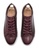 Arden Teal brown Loreto Burgundy Sneakers 17A1BSH571184FGS_6