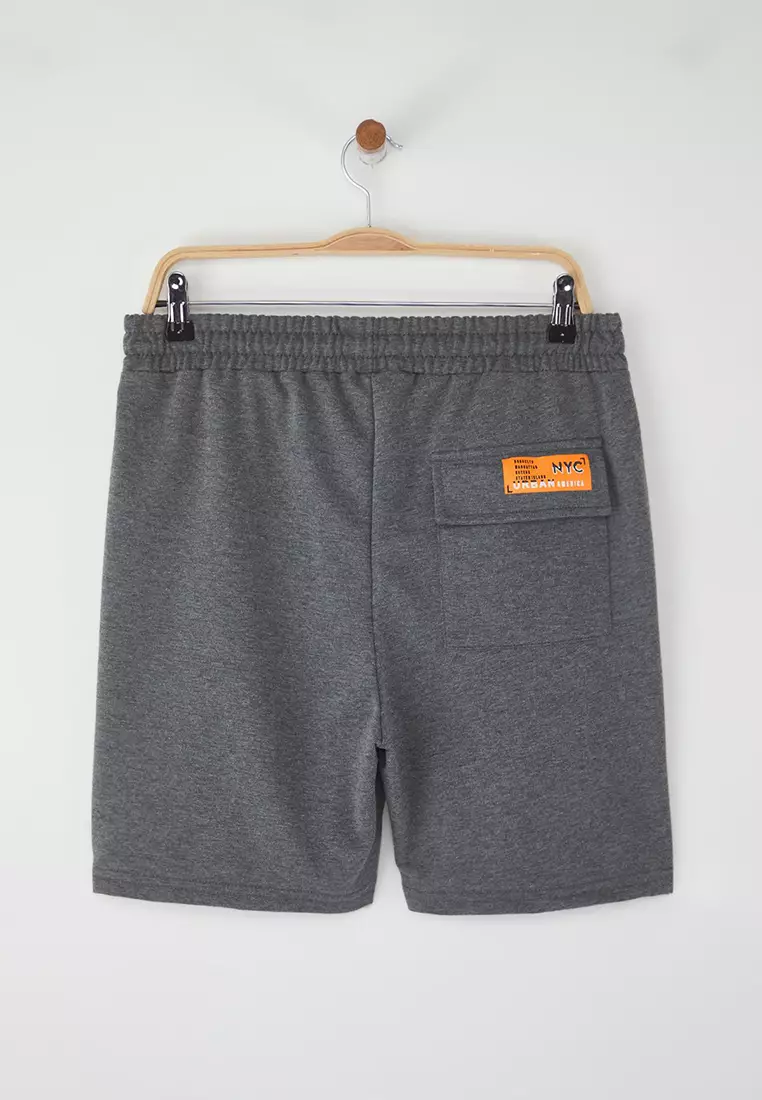 Anthracite Regular/Normal Cut Mid Length City Printed Shorts TMNSS22SR0406