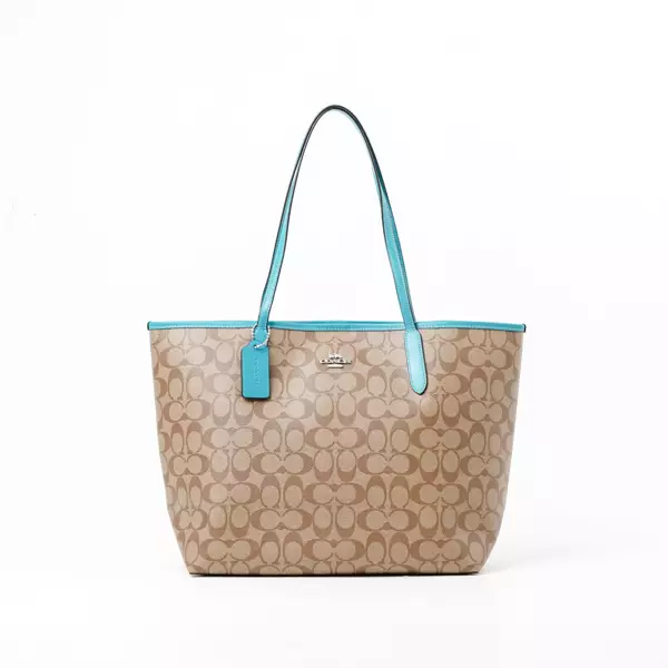Jual coach bag store