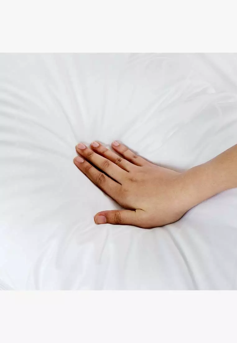 Buy Home de Luxe Down Alternative Pillow Cotton Korean Down Alternative