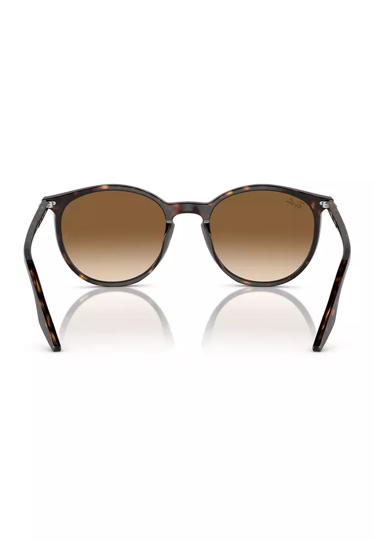 Buy Ray-Ban Ray-Ban - RB2204F 902/51 size 54 - Sunglasses 2026 Online ...