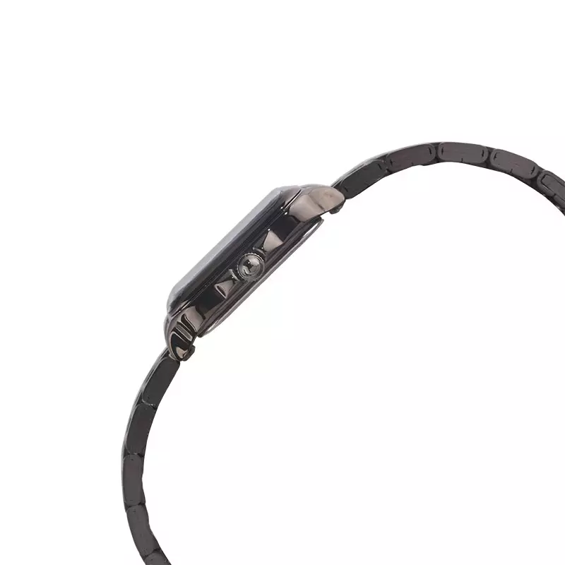 Jam Tangan Wanita Christophe Arden CA 1003 LH BIGSL Ladies Silver Dial Gunmetal Steel Strap