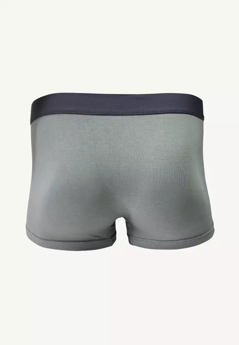 Ice Men Viscose With Spandex Men's Boxer Briefs Dusty03 - Sedona Sage (Single Pack)