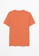LC WAIKIKI orange Crew Neck Short Sleeves Men's T-Shirt B7B9DAABC47990GS_6
