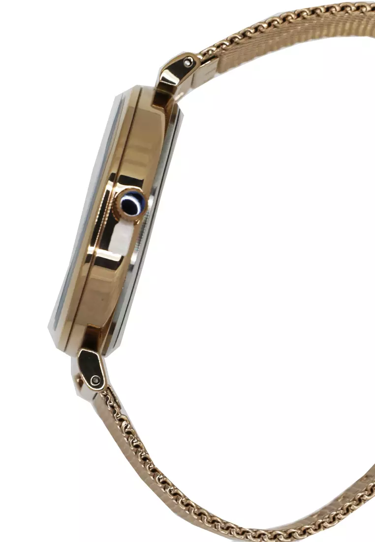 Slazenger Casual Women's Watches SLZ SL.09.6113.3.01