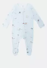 Blue Whispers/Meadow Mornings