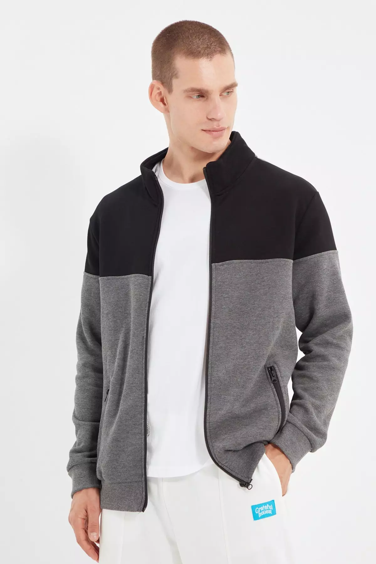 Buy Trendyol Colourblock Zipper Sweatshirt 2024 Online ZALORA