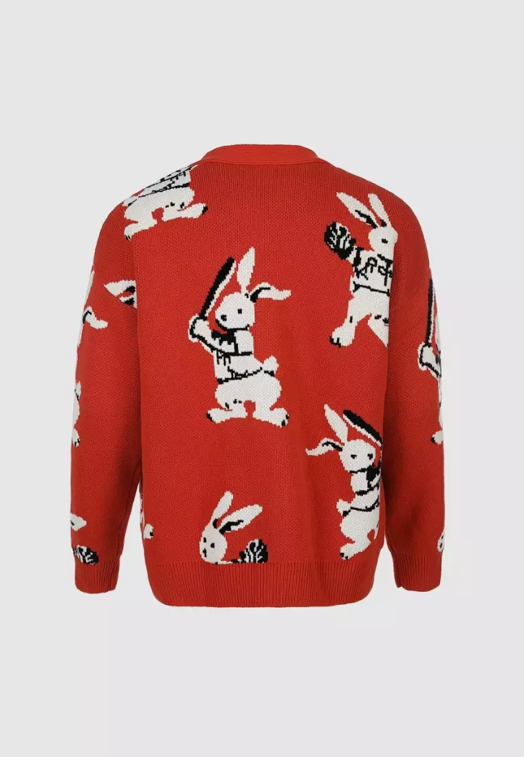 Rabbit sweater sale