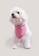 OXGN pink Generations Pet Bandana With Embro 49953ES477FB3CGS_5