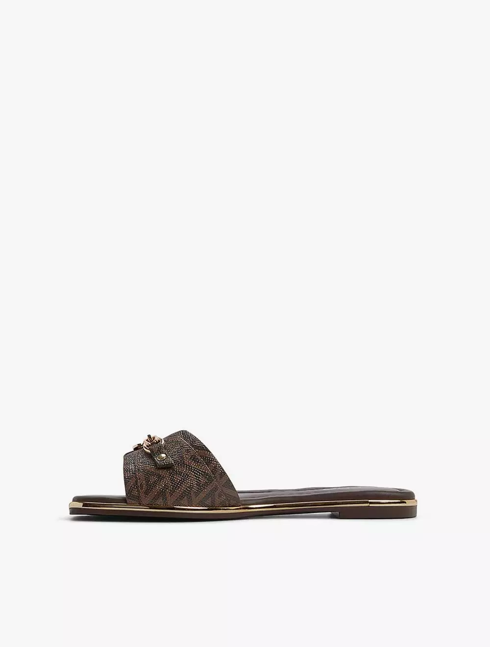 Aldo Alamassi Women's Flat Sandals - Brown Multi