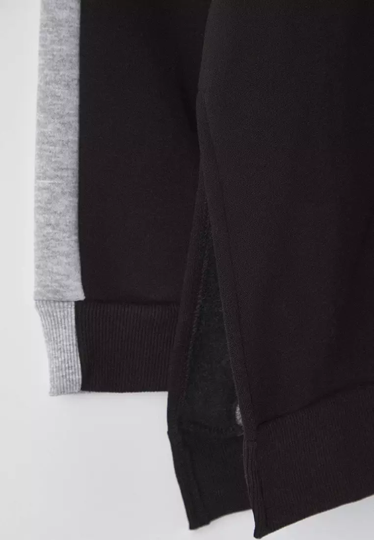 Plus Size Color Block Hooded Sweatshirt