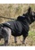 Kiloninerpets black (LARGE) H1 Tactical Pull-Over Hoodie Black 11CACES0E9112AGS_4