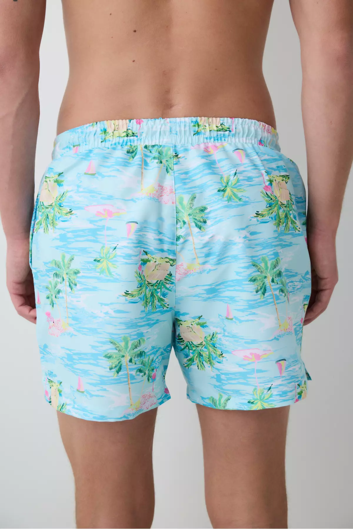 Colorful Flamingo Men's Shorts Swimwear
