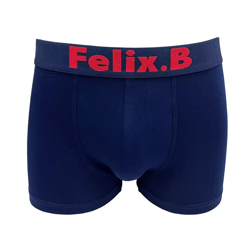 Jual Felix.B Felix.B Underwear Bamboo Spandex Shorty 2in1, Mix Color ...