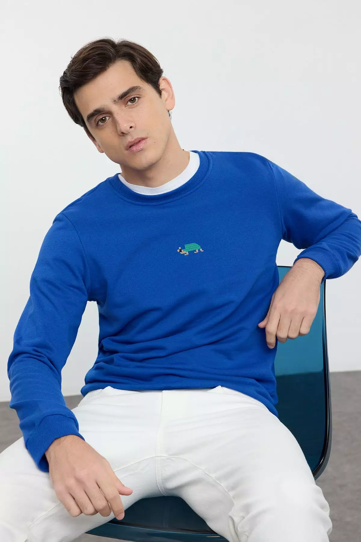 Indigo Regular/Normal Cut Crew Neck Etamine Animal Embroidered Sweatshirt TMNAW25SW00158