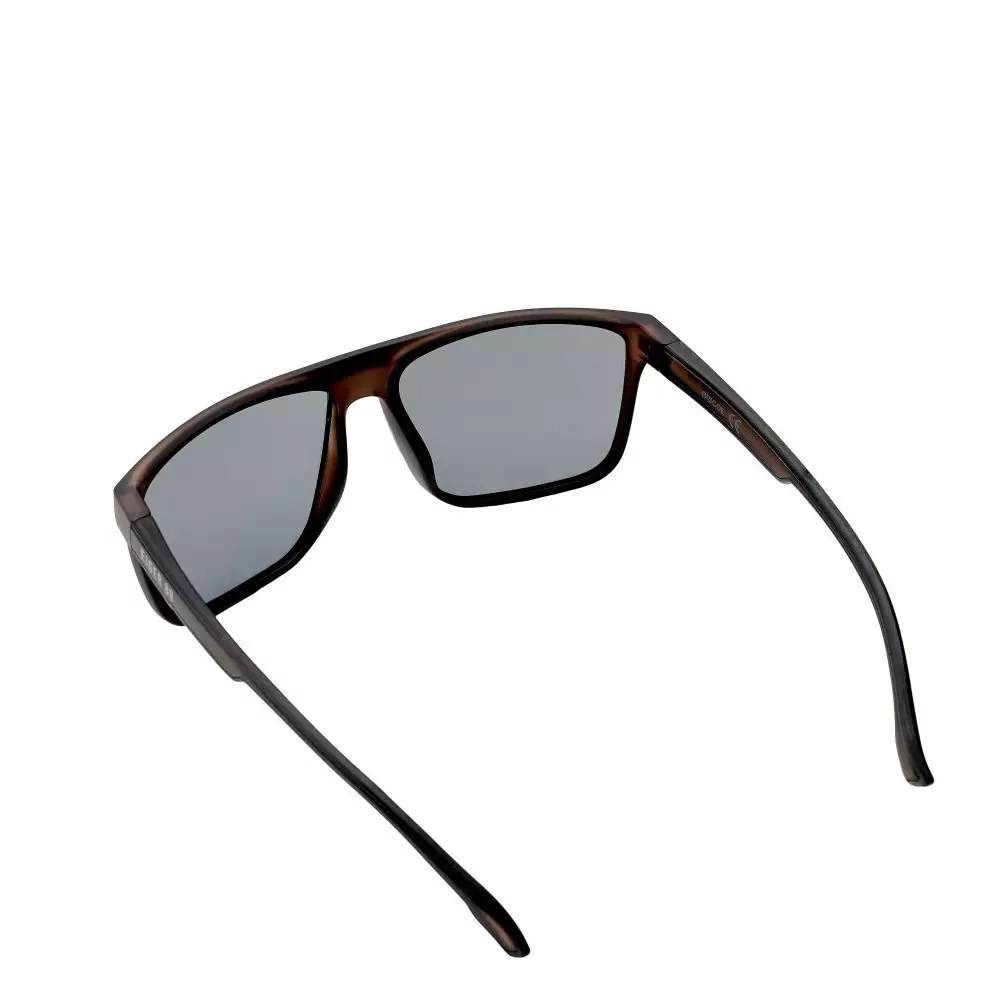 Eiger Biscoe-Wayfarer Sunglasses