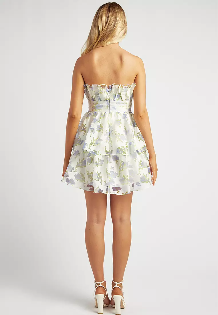 Ruffled Neckline Organza Dress