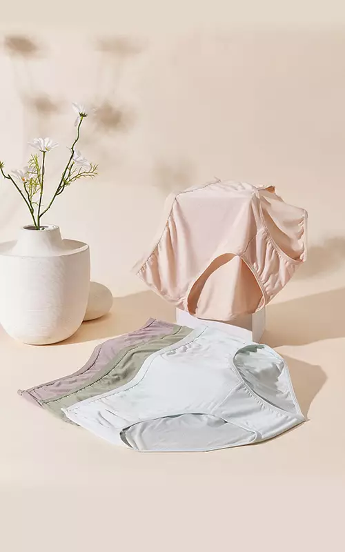 Panty Pack Natural Bamboo Fibre Maxi Plus S25-73308MIX