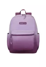 Light Purple/Royal Plum
