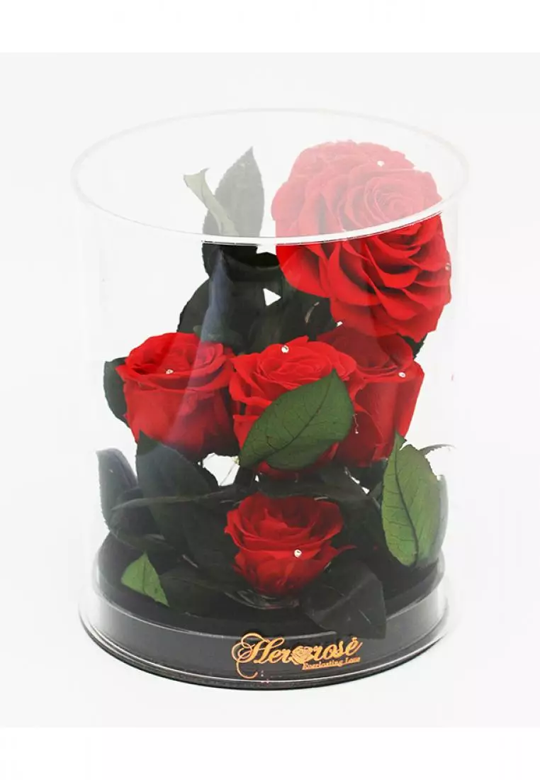 Her Jewellery Her Rose - Everlasting Preserved Rose - Romance Love (Black leather Red Rose)