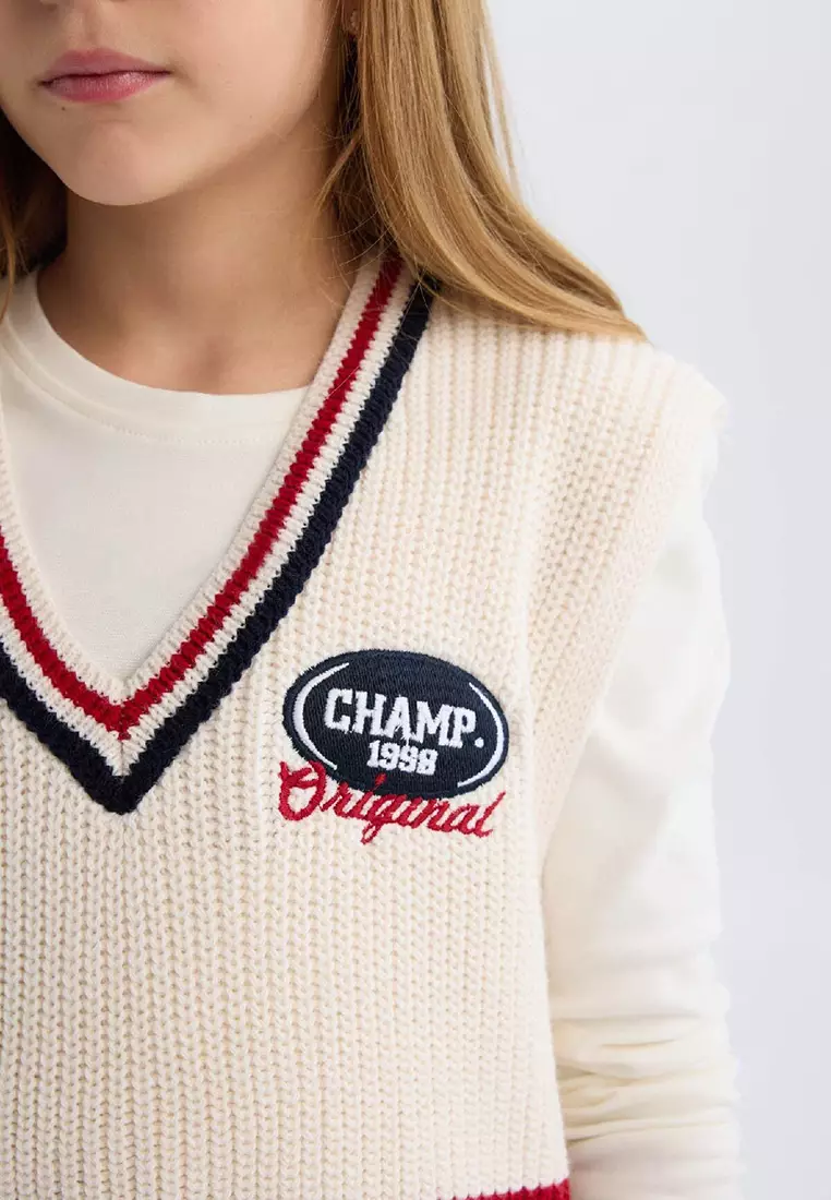 V Neck Embroidered Sweater