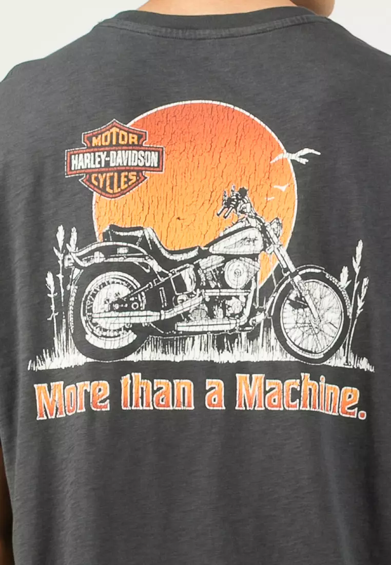 Buy Harley-Davidson Harley-Davidson® Softail Sunset Tee 2026