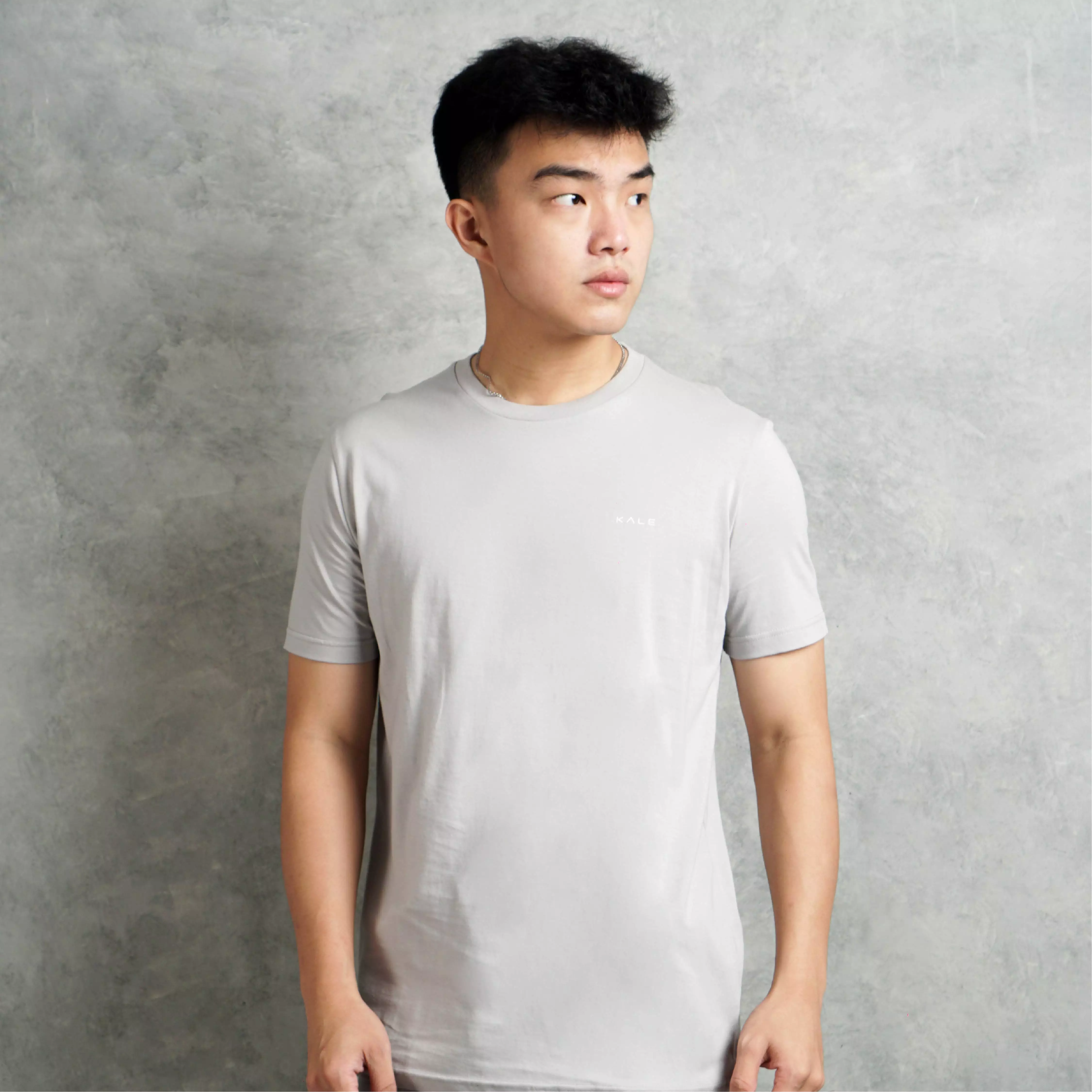 Kale Arion Light Grey / T-Shirt Pria Lengan Pendek / Unisex