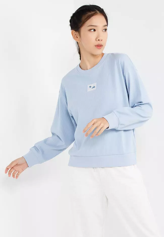 Champion blue sale sweater women's