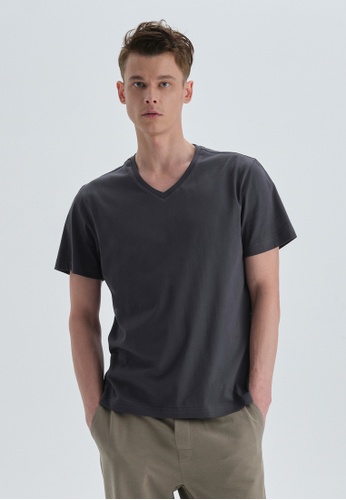 DAGİ grey Anthracite T-Shirt, Printed, V-Neck, Regular Fit, Short Sleeve Loungewear for Men F04D2AAB751E28GS_1