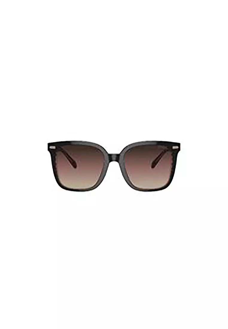 Women's Square Frame Black Acetate Sunglasses - HC8381F