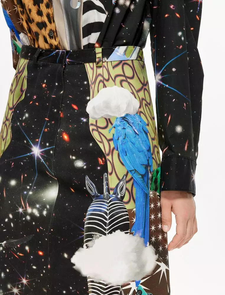 Printed A-Line Skirt