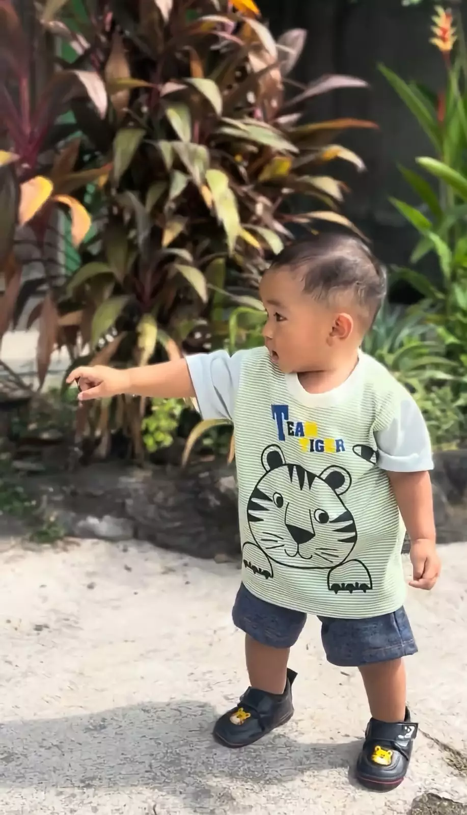 Little J - Setelan Stripe Tiger / Setelan Anak Cowok Motif Printing / Setelan Anak Murah Harian Usia 1 - 5 Tahun SNI