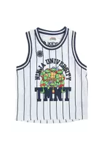 Licensed Nickelodeon Vanilla/Stripe/TMNT 84