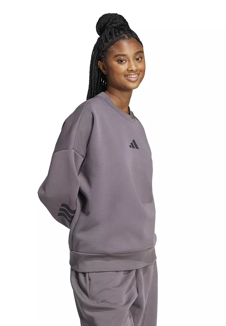 Future Icons 3-Stripes Sweatshirt