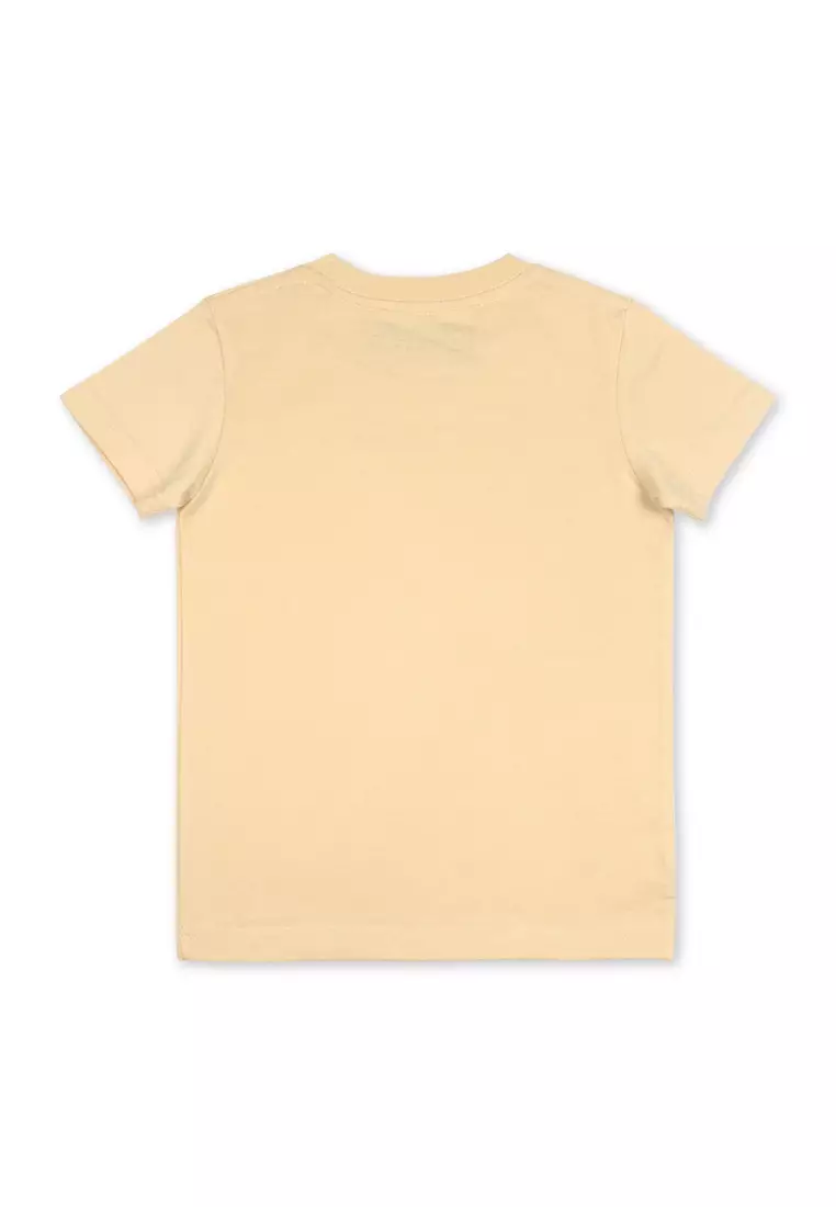 Boys T-Shirt with Print Details