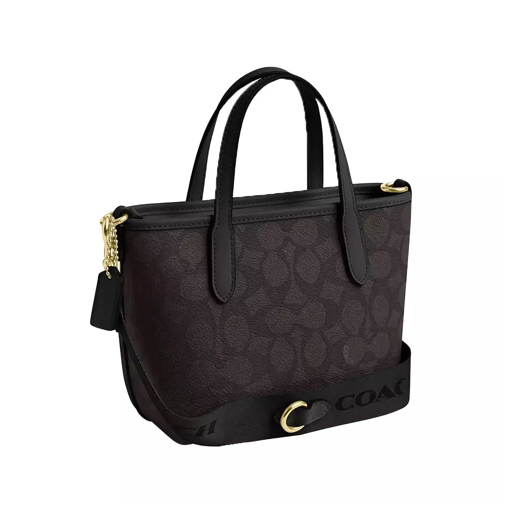 Jual Coach City Mini Handbag In Signature Canvas Walnut/Black 