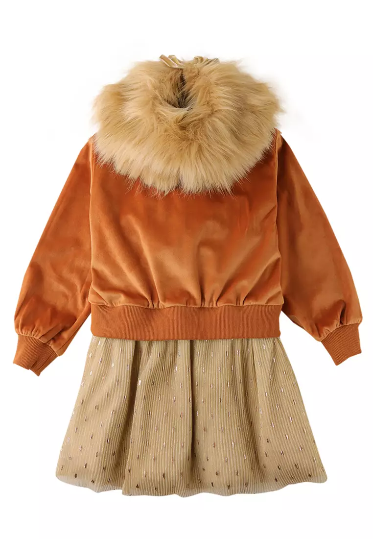 Girls Velvet Dress With Tulle Skirt And Detachable Faux Fur Collar