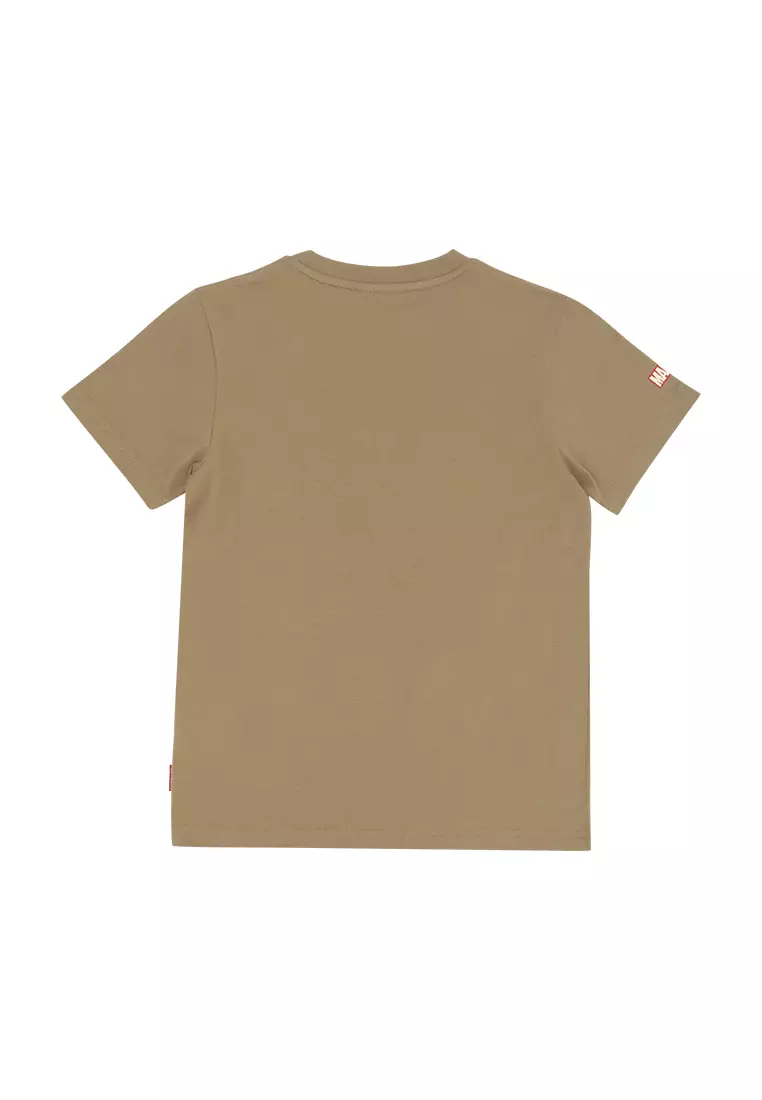 Boys Licensed Graphic T-Shirt The Hulk Japanese Characters