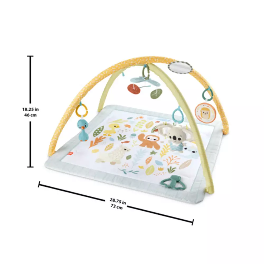 Fisher Price Playmat Bayi Dengan Mainan Gantung Simply Senses Newborn Gym