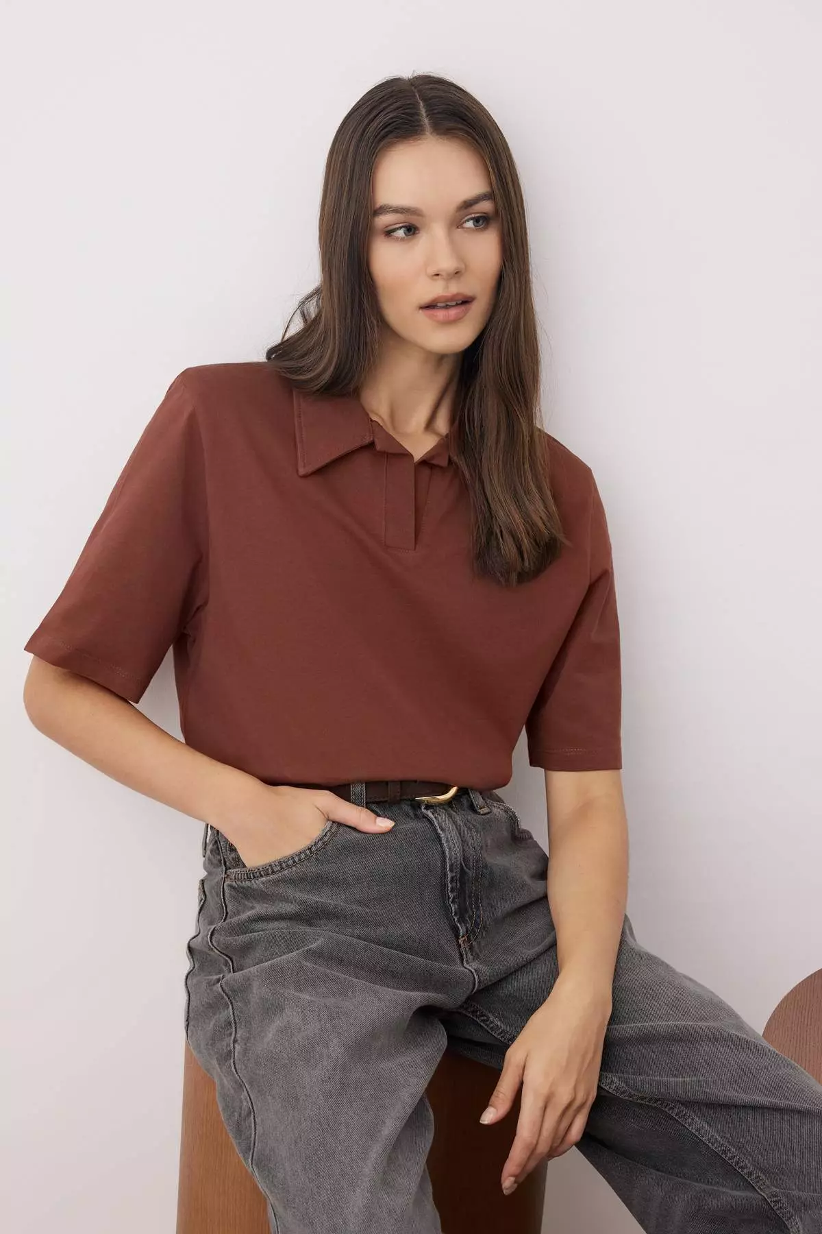 Brown Thick Cotton Padded Polo Collar Regular/Normal Pattern Knitted T-Shirt