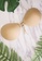 JULY beige JULY Curve Adjustable Push-Up Invisible Bra (3cm) Free Pouch 3A8FBUSF86052DGS_6
