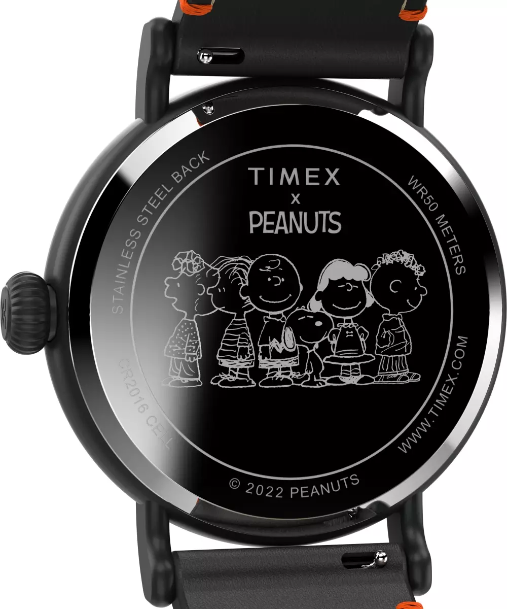 Jam Tangan Unisex Timex Analog Standard x Peanuts Snoopy Dia de los Muertos TW2V60800V5